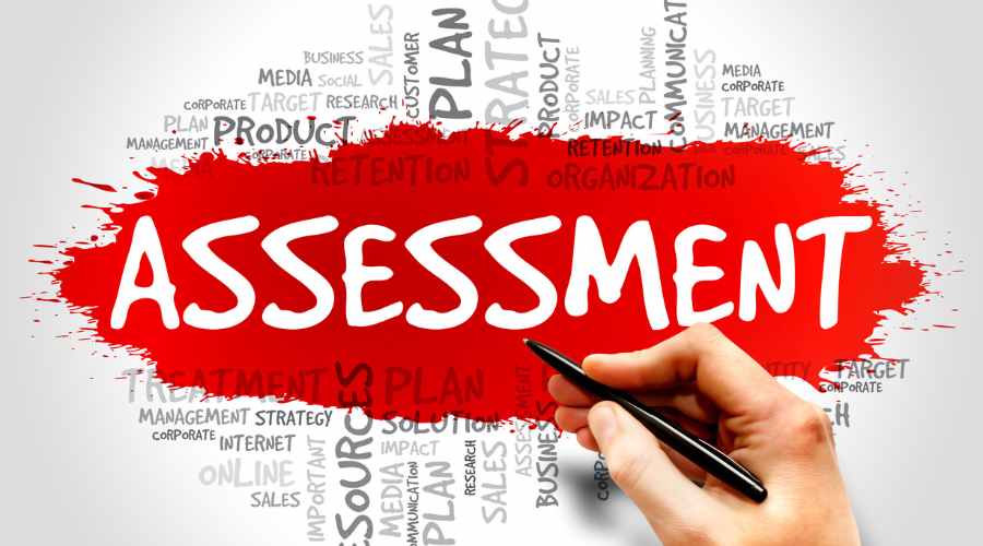 Assessment Disc: Compreendendo e Maximizando o Potencial Individual